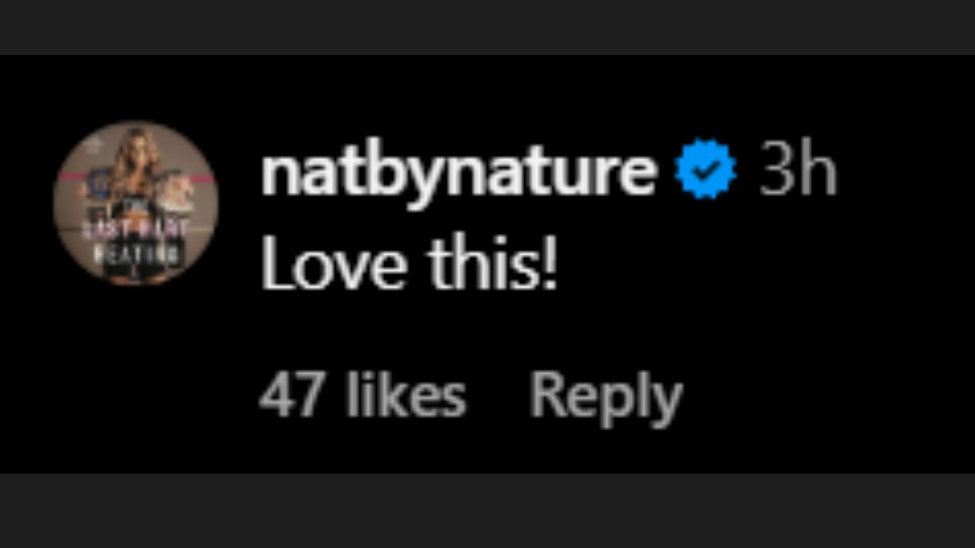Natalya responds to Chris Jericho's Instagram post. (Image via Jericho's Instagram)
